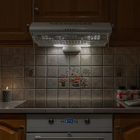 Σπίτι διακοπών Lyngen Aurora House *